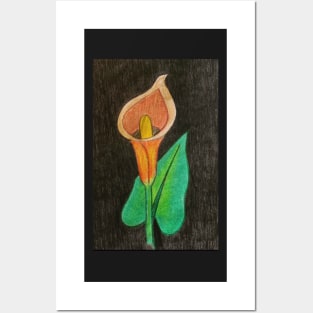 Calla Lily Single Posters and Art